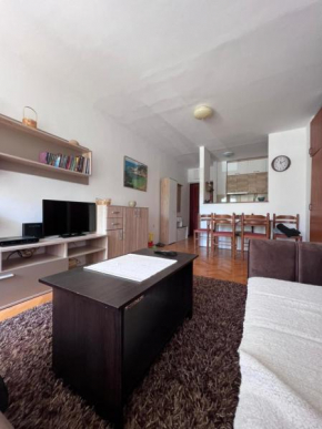 Family one bedroom apartment Viola